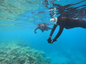 リクエストはお魚さんわしゃわしゃコース♪