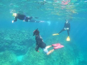 石垣島の海を1分1秒でも長く！おかわりdeシュノーケリングの皆さん♪