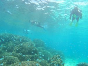 6月下旬はシュノーケリング合宿！ロングスティで石垣島楽しむ皆さんです！