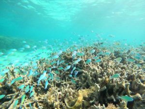 御年81歳！初心者さんからベテランまで楽しんだ少人数ツアー！