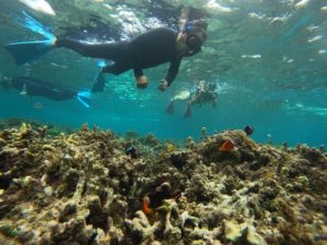 半日で楽しむシュノーケリングツアーはご旅行初日でも最終日でも、お任せください！