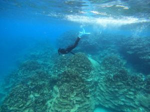 海しか行っていません！石垣島で海三昧シュノーケリング三昧♪
