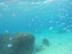 10月最終日の石垣島は透明度抜群シュノーケリング日和♪