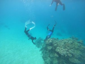 水深10mの世界へ！家族みんなでスキンダイビング！