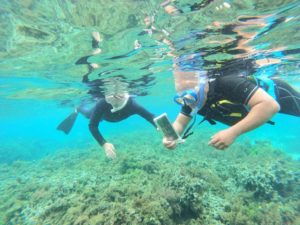 雨でも楽しめるのが石垣島シュノーケリング♪