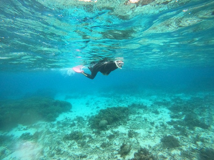 颯爽と泳ぎ始めていきます。
