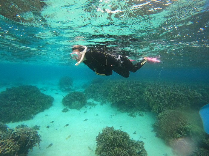 リピーターY口さん