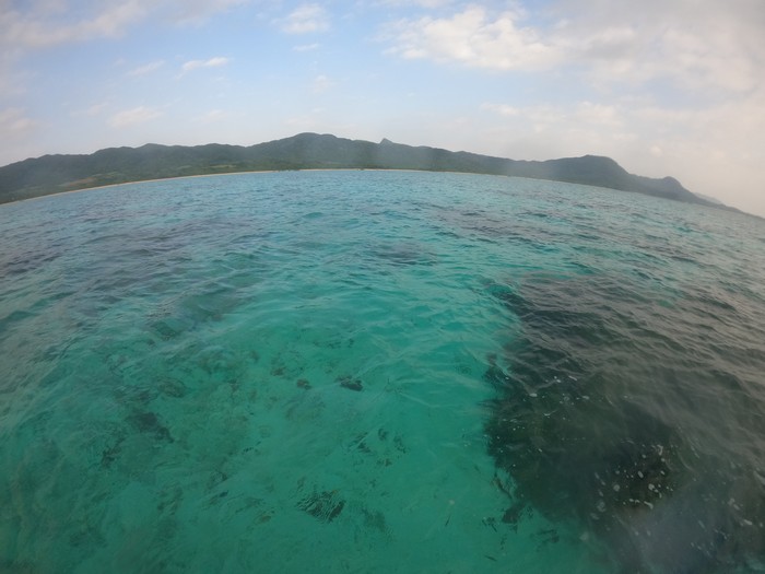 穏やかな海は健在です。