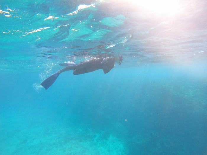 リピーターM利さん