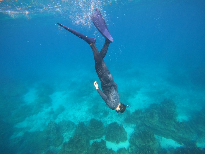 早速始まりました