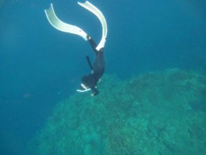 石垣島旅行、最終日の過ごし方はやっぱりスキンダイビング♪