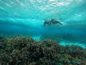 海のトラウマは海で解消！そのコツは呼吸方法なり♪