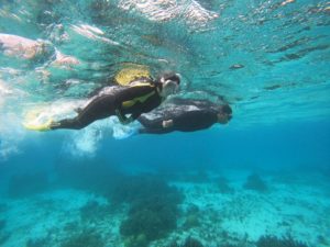 風強く、波あれど楽しんだシュノーケル！