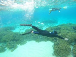 冬休み！思いっきり楽しだ石垣島シュノーケル