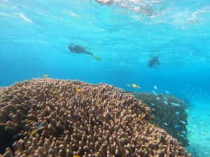 2023年度潜り納めでシュノーケル！良いお年を♪