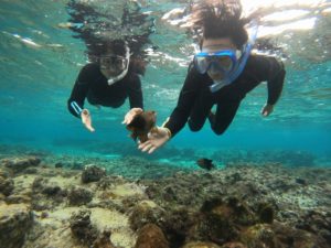 初めてでも楽しめるシュノーケリング！少人数ツアーにお任せ！