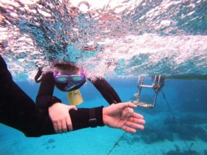 初心者さんシュノーケル！海を楽しむコツをアドバイス♪