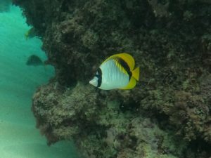 雨女返上宣言！晴れた青空はシュノーケル日和！