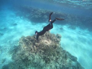 初石垣島、初シュノーケリングに初スキンダイビング!?