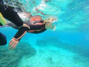 曇りなれど水中世界は、絶景シュノーケリング