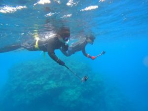 てんこ盛りシュノーケリング！クマノミマンション楽しんだらパラオハマサンゴ！