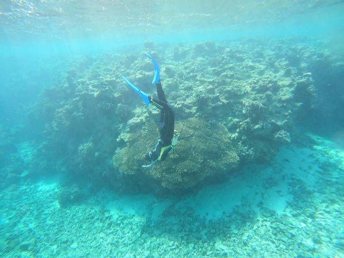 シャッターチャンスは数多く