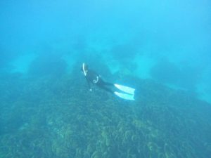 サンゴを楽しむスタイルはスキンダイビングでっ！