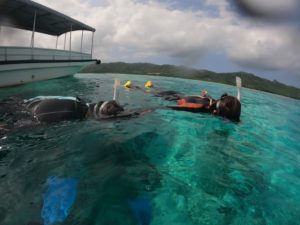 脱初心者シュノーケリング!の秘訣は基本をレクチャー少人数ツアー！