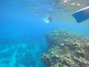 石垣島に来てよかった♪が口癖に！初日からアクセル全開シュノーケリング！