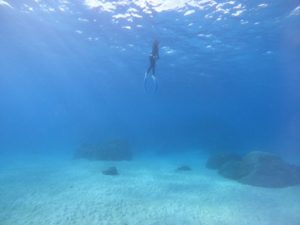 今日の石垣島もやっぱり空青く！そしてバナナは黄色かった！