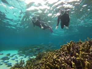 クルーズ船、ベリッシマで石垣島へ！半日あれば楽しめるシュノーケリング！