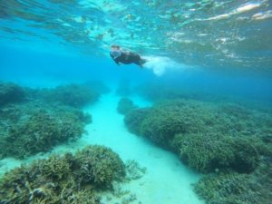 我流でもできるシュノーケリング！でも基本を押さえたいシュノーケル！