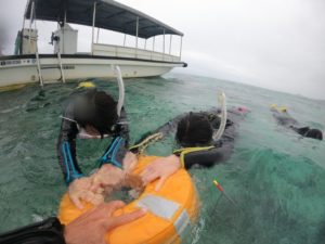 お姉さん！笑顔は禁止の真顔シュノーケリングツアー