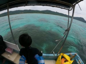 大人も子供も初シュノーケリング！3歳5歳も楽しんだ石垣島海遊び♪