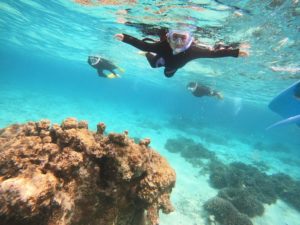 何回潜っても、やっぱり楽しい石垣島シュノーケリング！