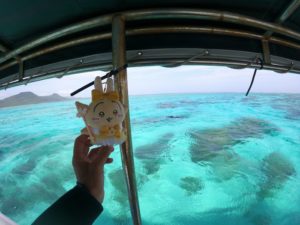 ドキドキ不安解消シュノーケリングはお任せください！少人数ツアー！