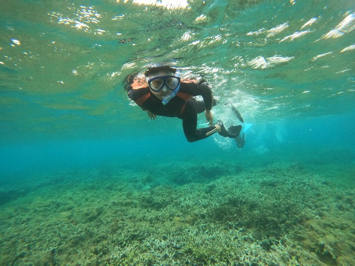 慣れてくれば活発泳ぎです