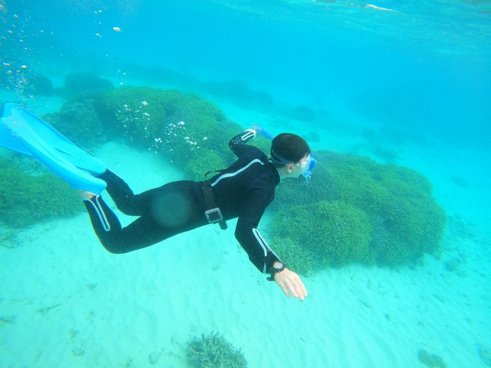 素潜りドボンのお父さん