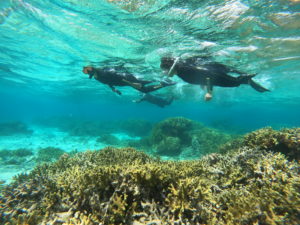 海の楽しみ方は人それぞれ！ぜーんぶ、素敵だと思います♪