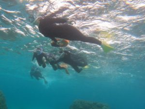 ツアー後の感想は明日もシュノーケリングやりたいな！海の虜がまた一人♪