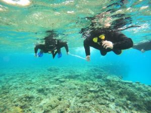 シュノーケリング好き大集合！御年70歳ご夫婦と鉄人ご夫婦です♪