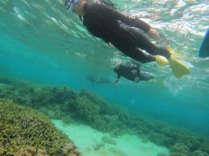 ぶらり石垣島ひとり旅、三名様でゆったりシュノーケリング！