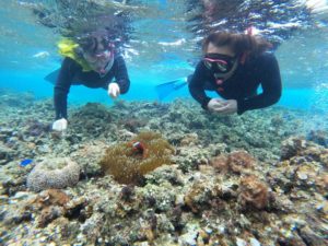 石垣島の海を楽しむ秘訣は少人数でゆったりシュノーケリング♪