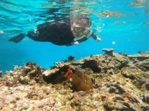 ゆったり流れる時を楽しんだ石垣島シュノーケリング♪