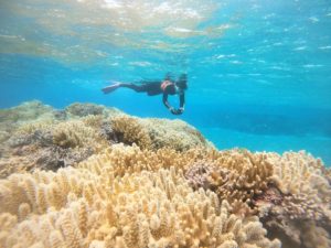 サンゴ好き派♪のベテランシュノーケラーと海にいくと♪
