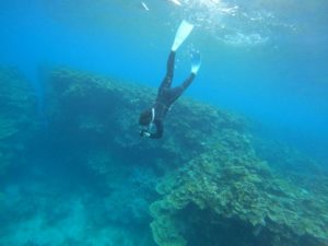 Newアイテムはフィン！スキンダイビングに熱中ツアー♪