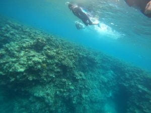 シュノーケリング、そして海の楽しみ方は基本を押さえる！少人数ツアーにお任せ下さい！