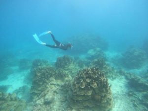 スキンダイビング！ニッコリ笑顔が止まらない♪石垣島移住チームの日常♪