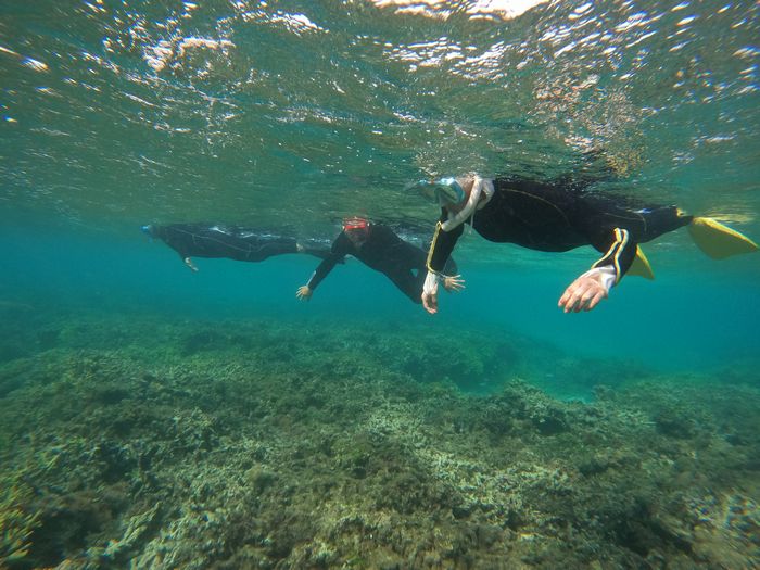 リピーターI本さんとS間さん
