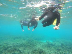 北風吹けば透明度復活！サンゴわしゃわしゃ楽しんだ貸し切りツアー！